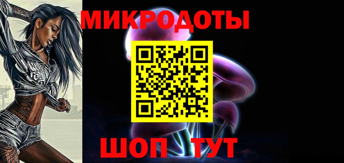 Псилоцибиновые грибы Psilocybe Красногорск
